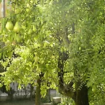 Beautiful Venice B&B